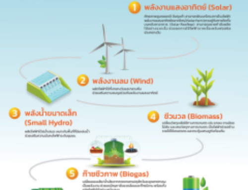พลังงานหมุนเวียน – กำลังสำคัญของระบบไฟฟ้าไทยในอนาคต